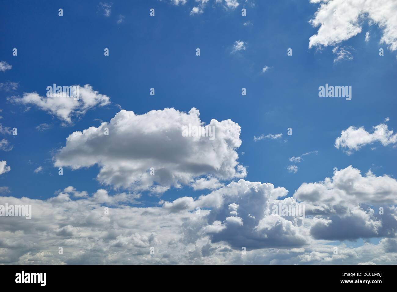 Bauchige und wogende weiße und dunkelgraue Wolken am blauen Himmel. Cumulus Wolken sind Wolken, die flache Basen haben und oft als `geschwollene` beschrieben werden Stockfoto